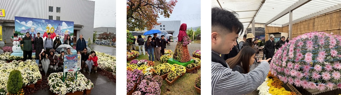 菊花の栽培や菊農家さんの仕事について